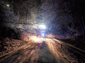 Einsatzfoto 62b6fc47-3491-473f-b557-367eeb3efb45.jpeg