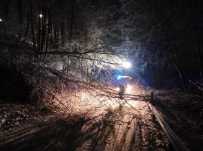 Einsatzfoto 149a3dde-a114-4f82-96ed-0ab07038d2f7.jpeg